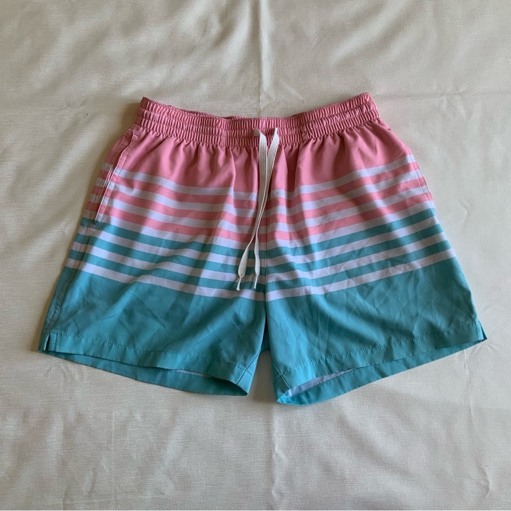Chubbies Pink and Blue Striped Athletic Shorts
